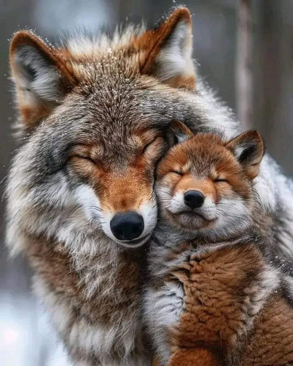 photo postcard fox and little fox