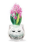 Postcard "Hyacinth baby"