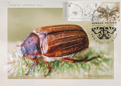 Set of 7 max. cards to the Insects of Ukraine 2024 postal issue