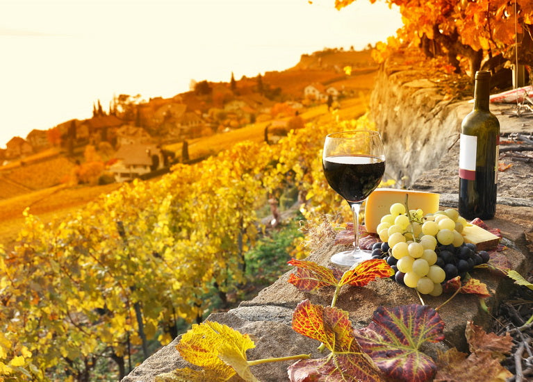 Autumn Flavors postcard