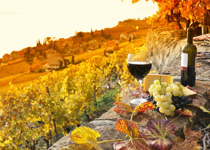 Autumn Flavors postcard