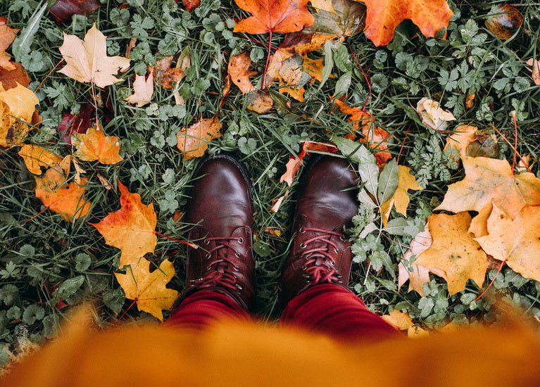 Autumn Walk Postcard
