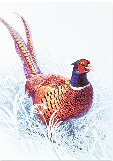 chicken like birds of Ukraine cards