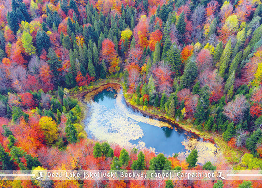 Mountain lake in the Carpathians postcard