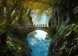 Photo postcard "Forest Lorien. The Lord of the Rings"