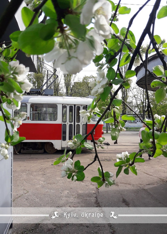 Kyiv tram spring postcard