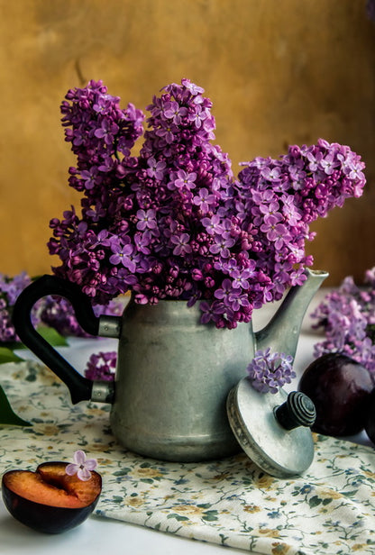 Purple Spring Postcard