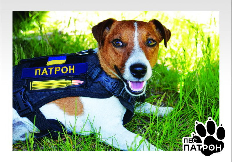 Set of 10 wartime postcards