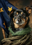 Today's Dogs Series Postcard "Lancashire Heeler. Australian Flag"