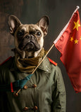 Postcard Pug China
