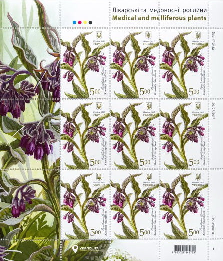 Sheet Medicinal licorice