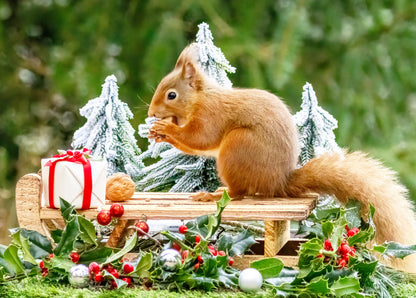 Squirrel at winter tea bath postcard
