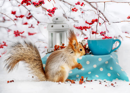 Winter Treats postcard