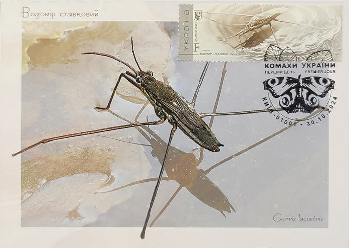 Set of 7 max. cards to the Insects of Ukraine 2024 postal issue