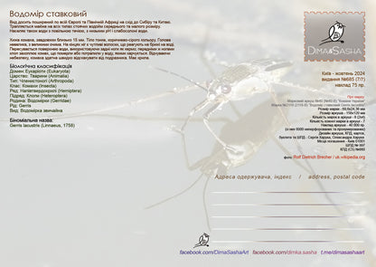 Set of 7 max. cards to the Insects of Ukraine 2024 postal issue