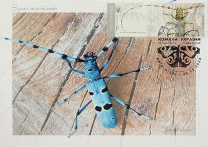 Set of 7 max. cards to the Insects of Ukraine 2024 postal issue