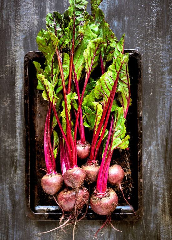 Fresh Beetroot Postcard