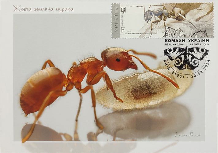 Set of 7 max. cards to the Insects of Ukraine 2024 postal issue