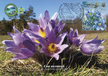 Set of 4 maximum cards "Podilsky Hills" 2026