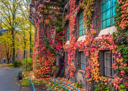 Photo postcard Embrace of Autumn