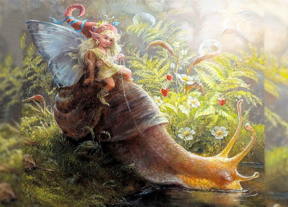 fairy-on-a-snail-postcard