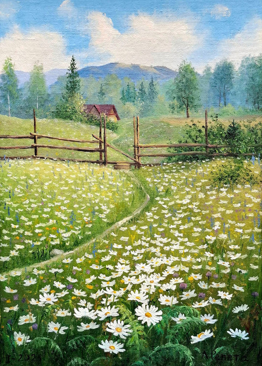 Postcard Chamomile Field