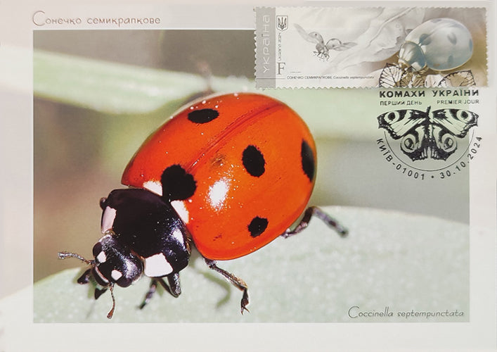 Set of 7 max. cards to the Insects of Ukraine 2024 postal issue