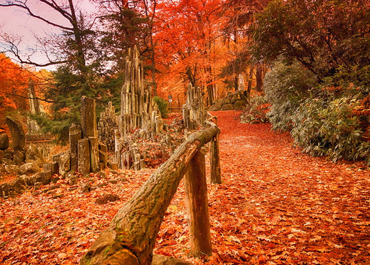 postcard Melody of Fallen Leaves