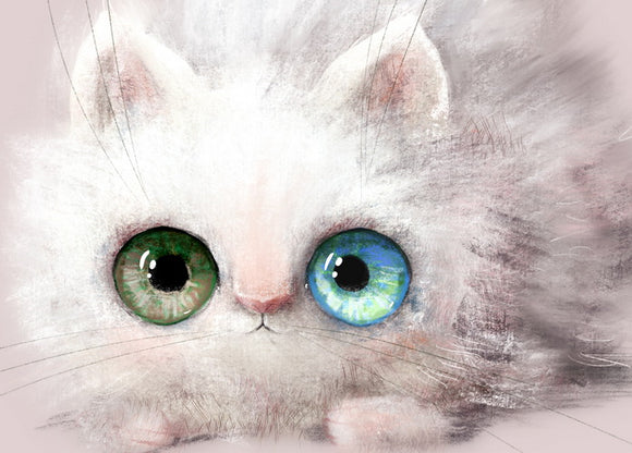 Kitten with different eyes postcard