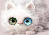Kitten with different eyes postcard