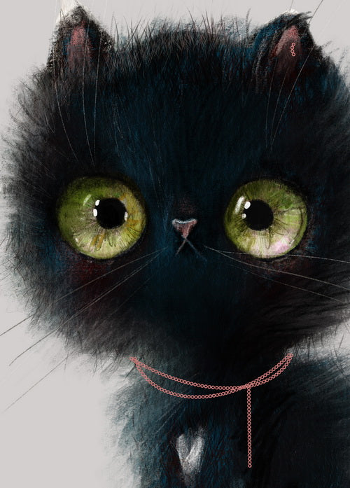 Black Kitten postcard