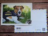 "Patron the Dog" Postcard