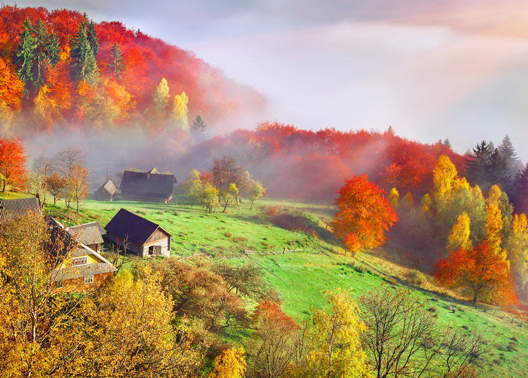 Autumn Morning in the Carpathians postcard