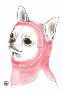 dog postcard, Chihuahua postcard