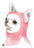 dog postcard, Chihuahua postcard