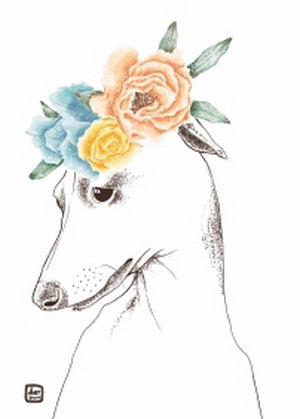 Italian greyhound postcard, dog postcard, dog breed postcards