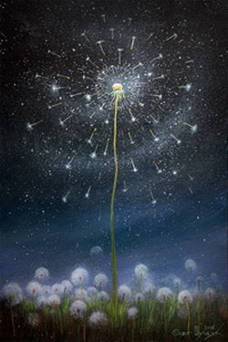 postcard dandelion, dandelion postcard, 