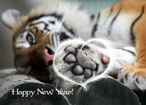 cute tiger 2022 new year card