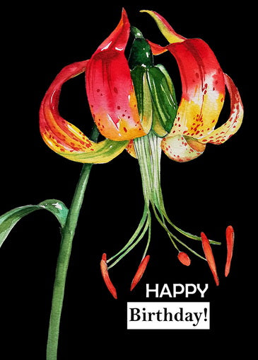 Lily flower postcard, Lily greeting postcard, Lily birthday postcard