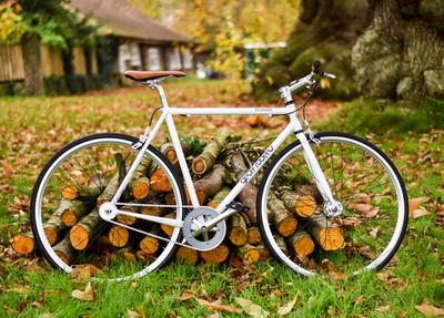 bike postcard, autumn postcard, bicycle postcard