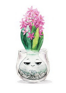 Postcard "Hyacinth baby"