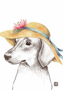 Dachshund postcard, dog  breed postcard