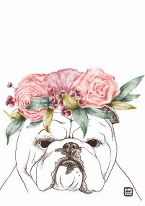 English Bulldog postcard, Bulldog postcard, dog postcard