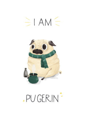 Harry Potter card, Hogwarts card, pug card, Slytherin card