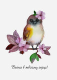 bird postcard, spring postcard, flower postcard
