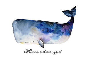 whale postcard, miracles postcard, whale with a quote postcard, whale postcard for sale
